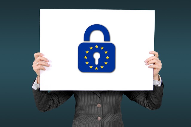 Europäische KI-Modelle vs. US-Anbieter: Der Compliance-Vergleich
